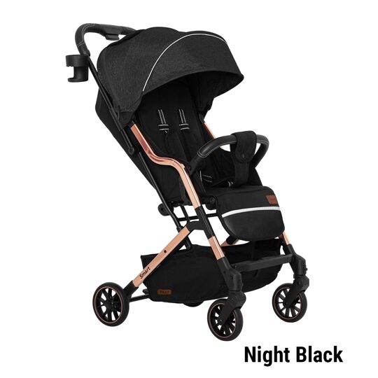 Коляска прогулочная Baby Tilly Smart T-169 Night Black