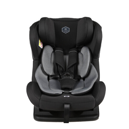 Автокресло Best Baby ASPECT AY373 (0-25 кг) черный-серый