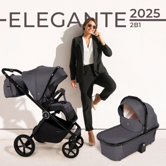 Коляска SBL Elegante 2 в 1 / GL Grey