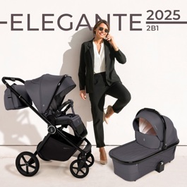 Коляска SBL Elegante 2 в 1 / GL Grey