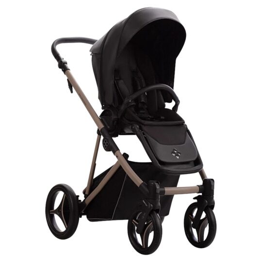 Коляска Bebetto PELPASSO PRO 3 в 1 / pro 03 kaszmir (черная кожа)