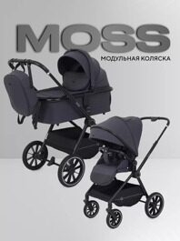 Коляска Rant MOSS 2 в 1 RA321 2025 / Graphite