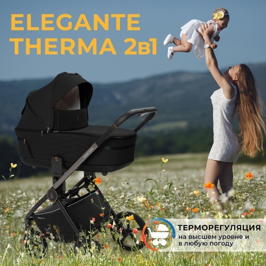 Коляска SBL Elegante Therma 2 в 1 / Black