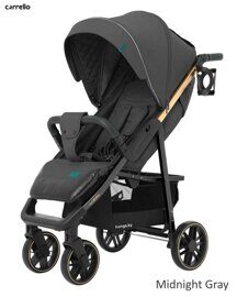 Прогулочная коляска Carrello Echo CRL-8508/2
