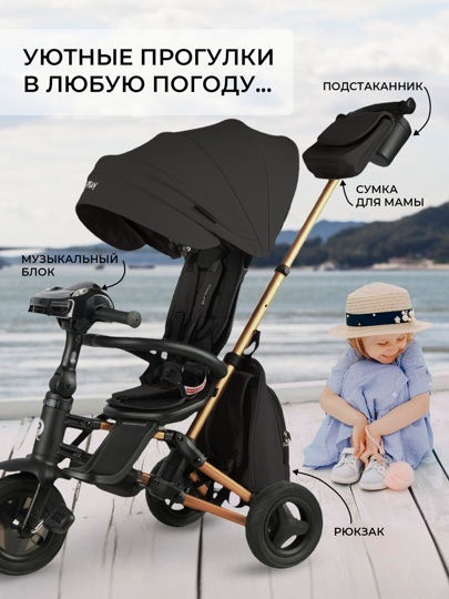 Складной трехколесный велосипед Qplay S700-17 RIDER SM Black (Rub Gold) (муз.панель)