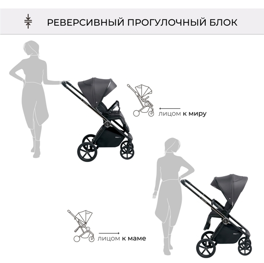 Коляска SBL Elegante 2 в 1 / Chrome  Grey