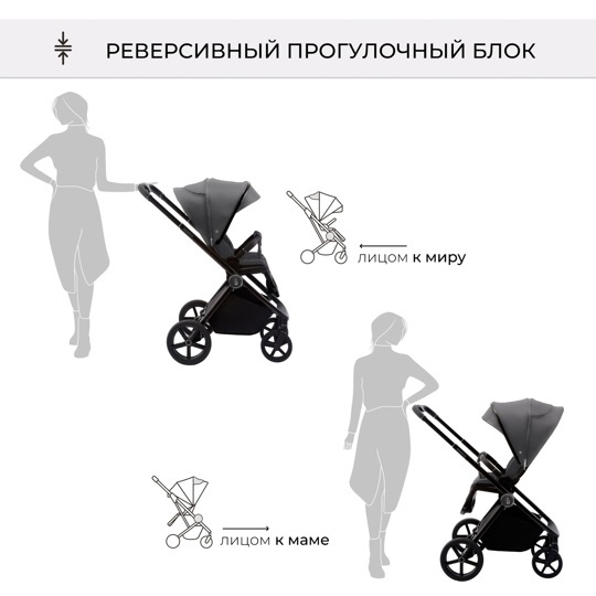 Коляска SBL Elegante 3 в 1 / GL Grey