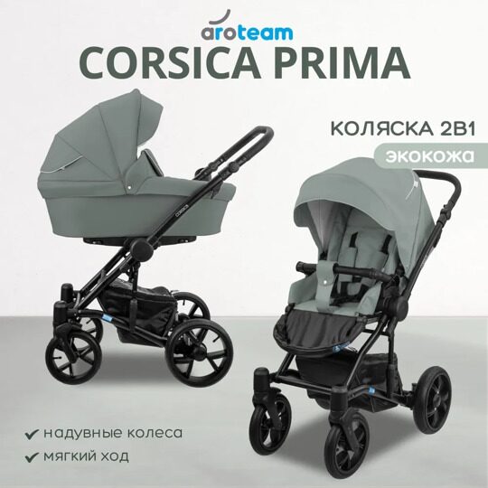 Коляска AroTeam CORSICA PRIMA 2 в 1 / 04 (шалфей кожа)