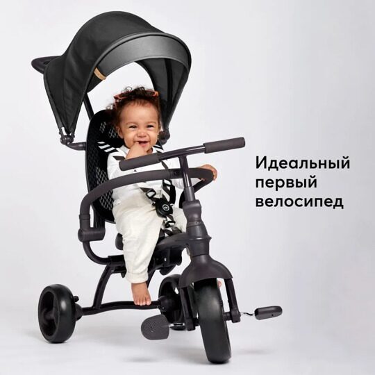 Детский трехколесный велосипед с ручкой Happy Baby MERCURY 50015 / black