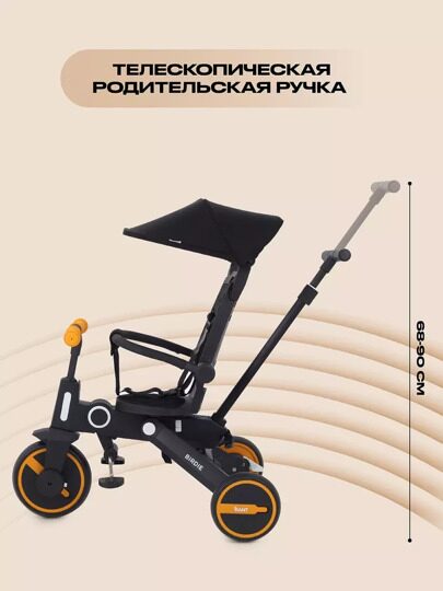 Детский трехколесный велосипед с ручкой Rant Birdie RB202 / Graphite