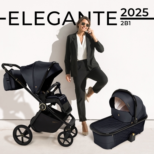 Коляска SBL Elegante 2 в 1 / GL Back