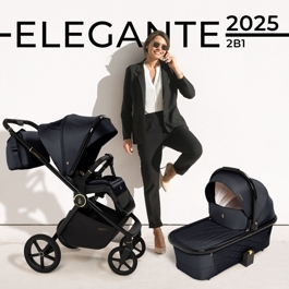 Коляска SBL Elegante 2 в 1 / GL Back