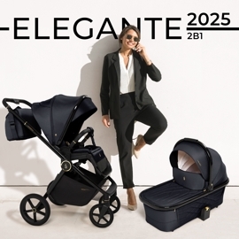 Коляска SBL Elegante 2 в 1 / GL Back