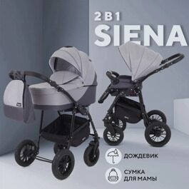 Коляска Rant SIENA New 2024 2 в 1 / 02 темно-серый-светло-серый