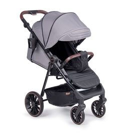 Прогулочная коляска Coletto Dizzi / Steel