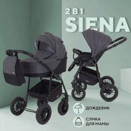 Коляска Rant SIENA New 2024 2 в 1 / 01 графит-серый