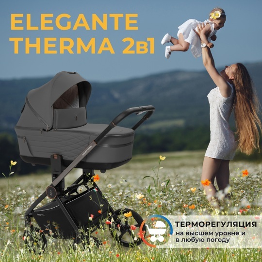 Коляска SBL Elegante Therma 2 в 1 / Dark Grey