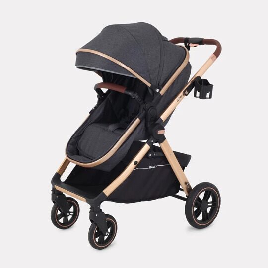 Коляска-трансформер Rant Basic ROLLER GOLD 2 в 1 / RA161 Grey